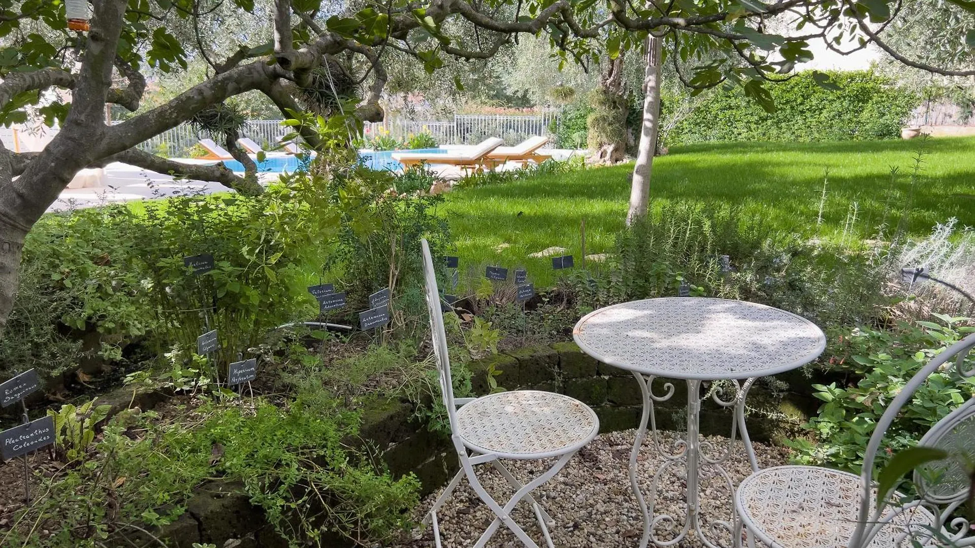 Villa La Rodina Diano Marina 0*,